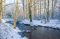 20. Rossmore in winter - The picnic table.